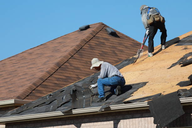 Best Skylight Installation and Repair  in Martin, TN
