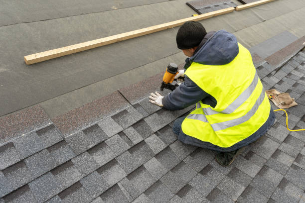 Best Solar Panel Roofing Installation  in Martin, TN