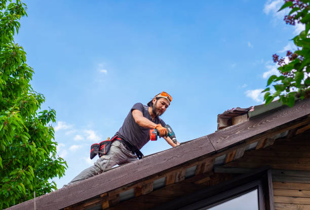 Skylights in Martin, TN