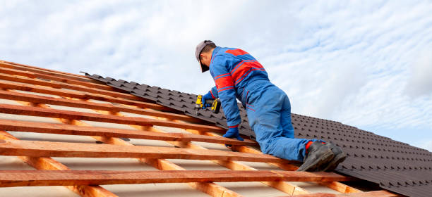 Best Roof Maintenance and Cleaning  in Martin, TN
