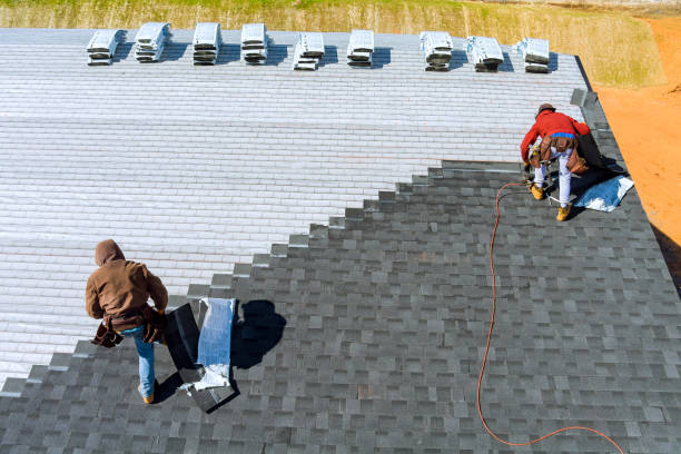Best Storm Damage Roof Repair  in Martin, TN
