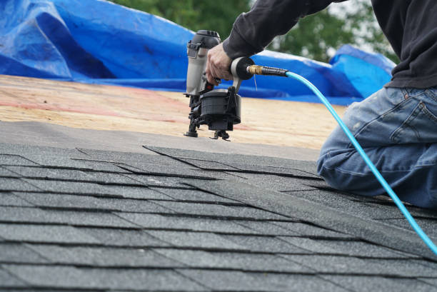 Best Chimney Flashing Repair  in Martin, TN