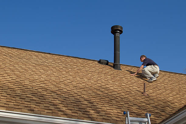 Best Roof Insulation Installation  in Martin, TN