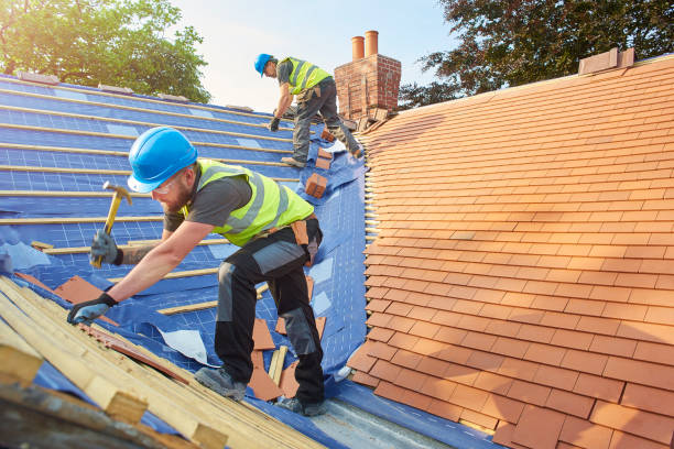 Best Roof Leak Repair  in Martin, TN